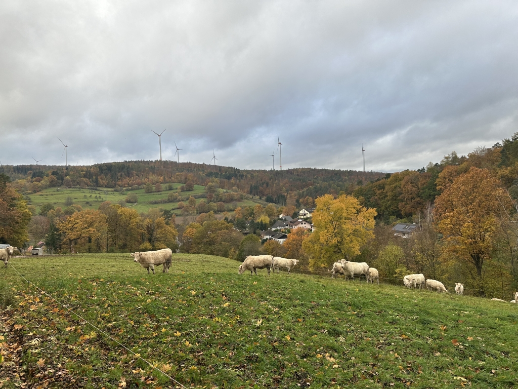 Buchenau_2023 (68).JPG